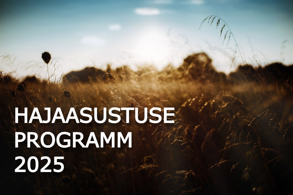 Hajaasustuse programm
